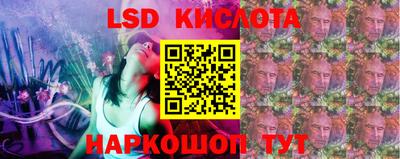 индика Боровичи