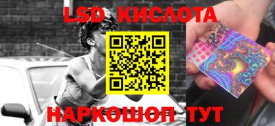 индика Боровичи