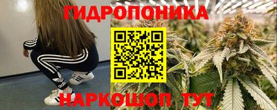 индика Боровичи