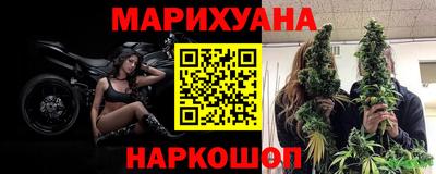 индика Боровичи