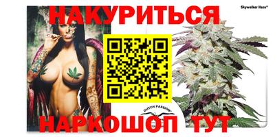 индика Боровичи