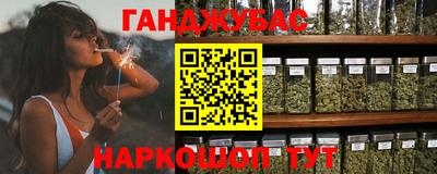 индика Боровичи